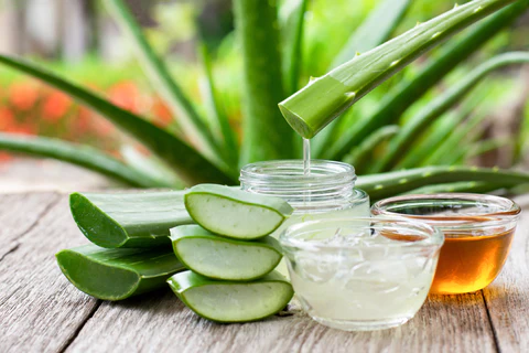 The advantages of consuming aloe vera juice before or after exercise