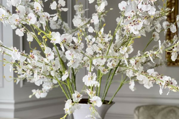 Making the Most of March Flowers for Home Décor